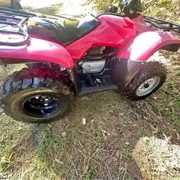 2011 Honda TRX250TE