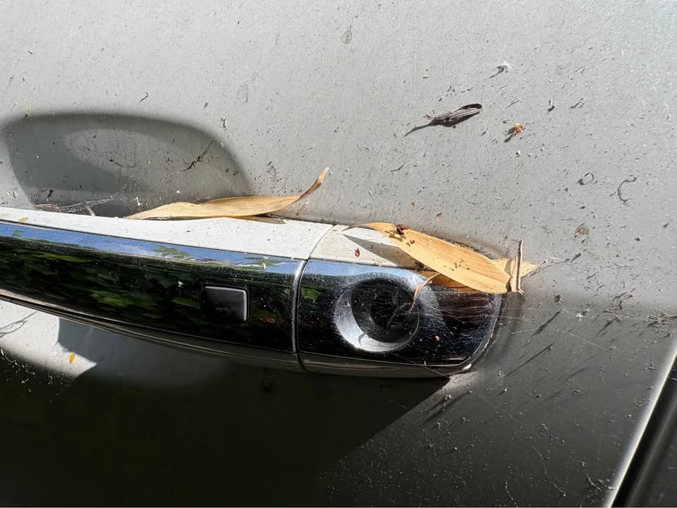 2011 Hyundai Genesis - Image 5 of 7