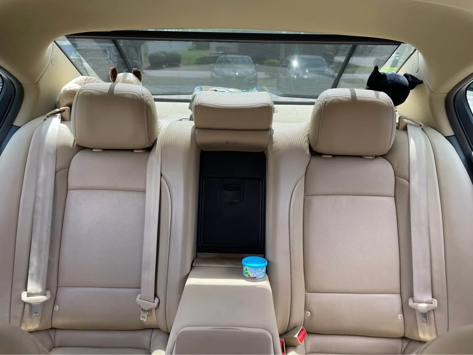 2011 Hyundai Genesis - Image 14 of 19