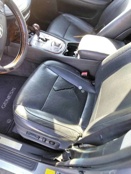 2011 Hyundai Genesis - Image 5 of 13