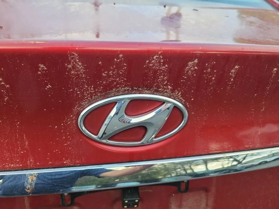 2011 Hyundai Sonata - Image 16 of 17