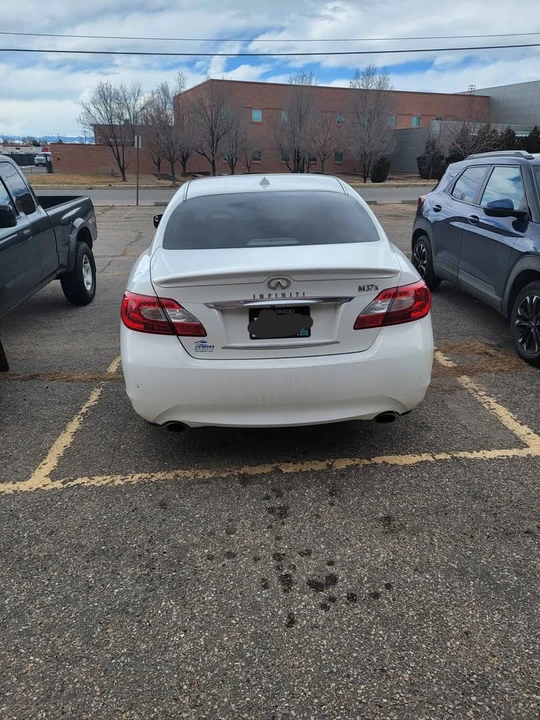 2011 Infiniti M/Q70 4th Gen - Image 4 of 15
