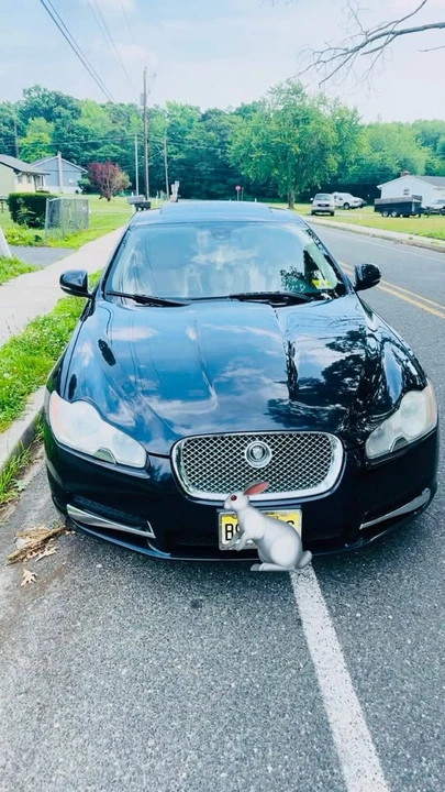 2011 Jaguar X250 XF - Image 2 of 2