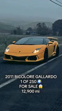 2011 Lamborghini Gallardo LP 550-2 Bicolore
