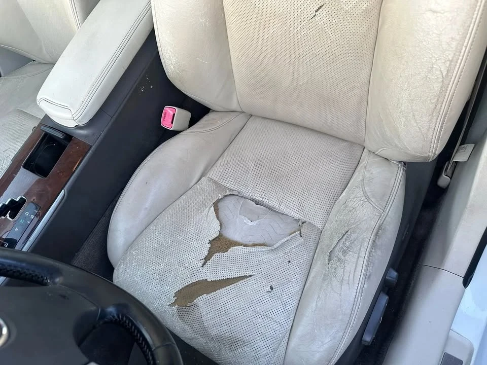 2011 Lexus IS 2nd Gen - Image 11 of 15