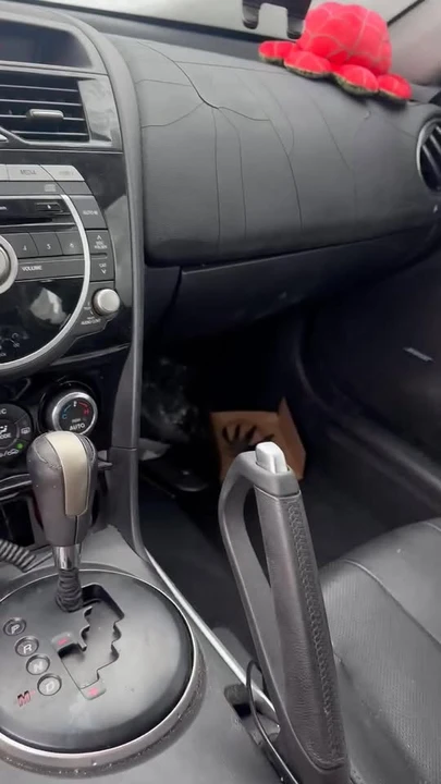 2011 Mazda RX-8 2nd Gen - Image 12 of 12