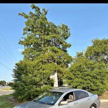 2011 Mitsubishi Galant GS Sport Sedan 4D