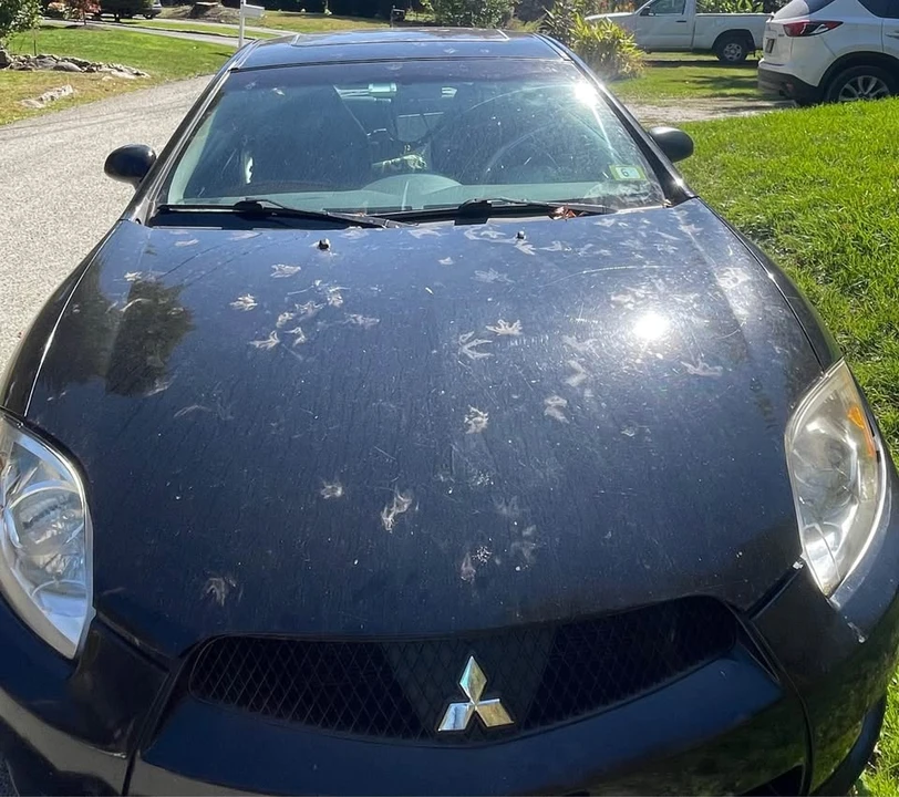 2011 Mitsubishi Eclipse 4th Gen - Image 3 of 4