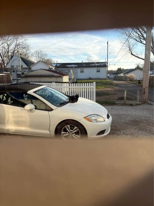 2011 Mitsubishi Eclipse 4th Gen - Image 6 of 7