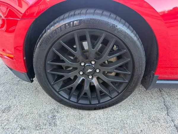 2011 Ford S197 Mustang - Image 19 of 21