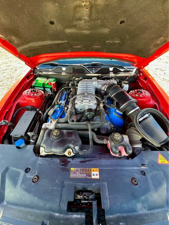 2011 Shelby GT500 - Image 17 of 17