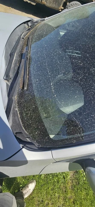 2011 Subaru Impreza 3rd Gen - Image 12 of 14