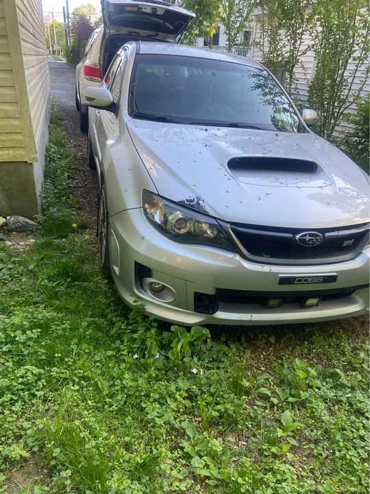 2011 Subaru Impreza WRX STi 3rd Gen - Image 4 of 4
