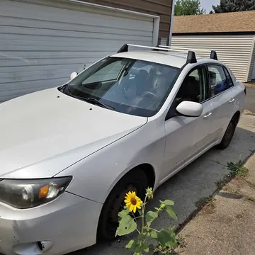 2011 Subaru Impreza WRX STI
