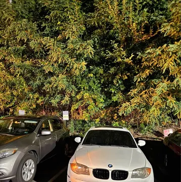 2012 BMW 1 Series 128i Convertible