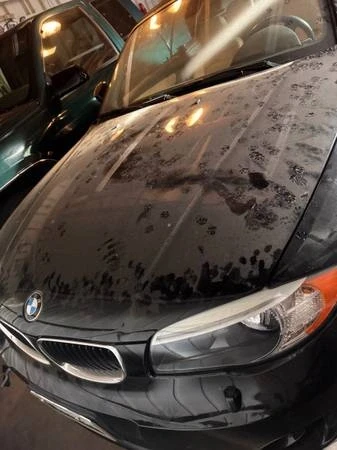 2012 BMW E81/E82/E88 1 Series - Image 10 of 10