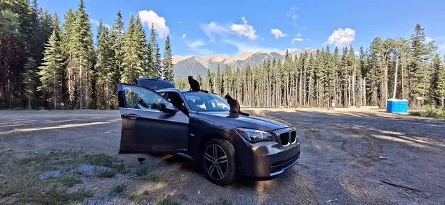 2012 BMW X1 xDrive28i