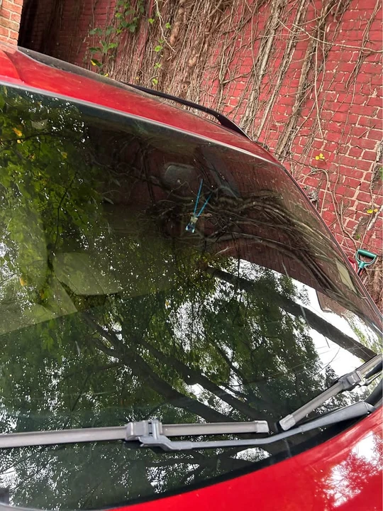 2012 BMW E70 X5 - Image 11 of 11