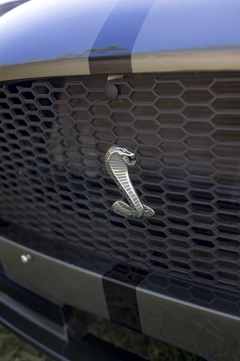 2012 Shelby Cobra Replica - Image 28 of 31