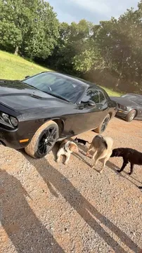 2012 Dodge Challenger SXT Coupe 2D