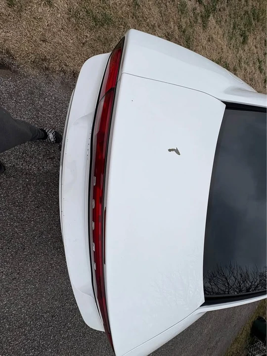 2012 Dodge Charger 7th Gen - Image 16 of 16