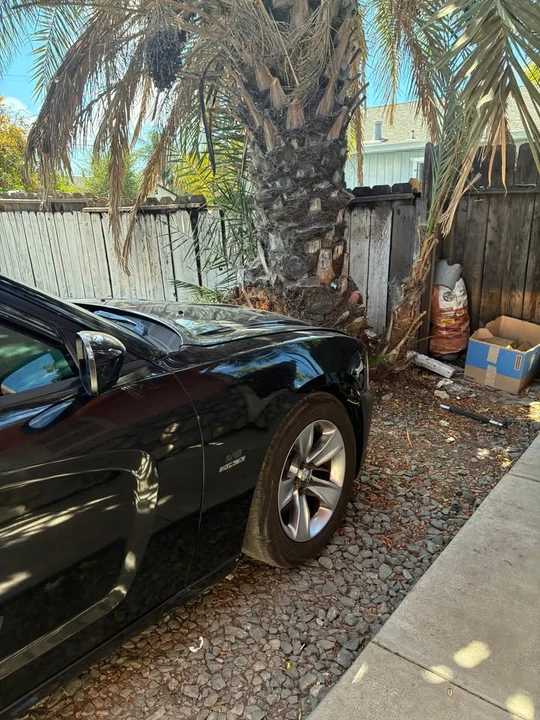 2012 Dodge Charger 7th Gen - Image 4 of 15