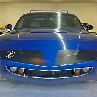2012 Dodge Richard Petty Superbird