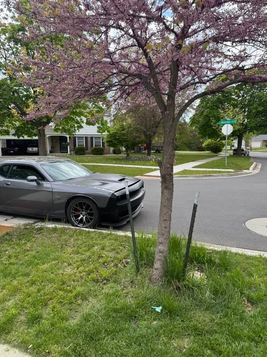 2012 Dodge Challenger 3rd Gen - Image 6 of 13