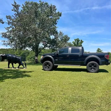 2012 Ford F-150 FX4
