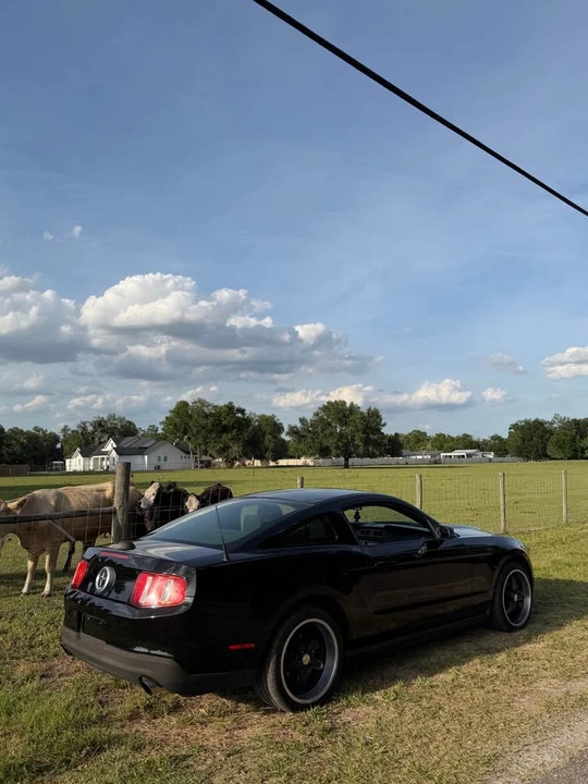 2012 Ford S197 Mustang - Image 5 of 10