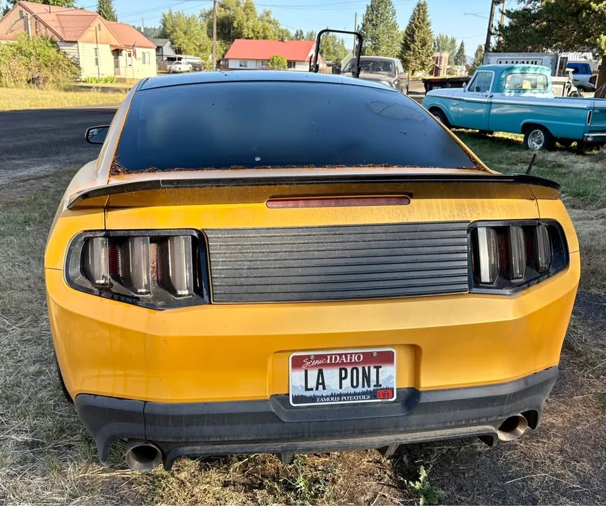 2012 Ford S197 Mustang - Image 3 of 6