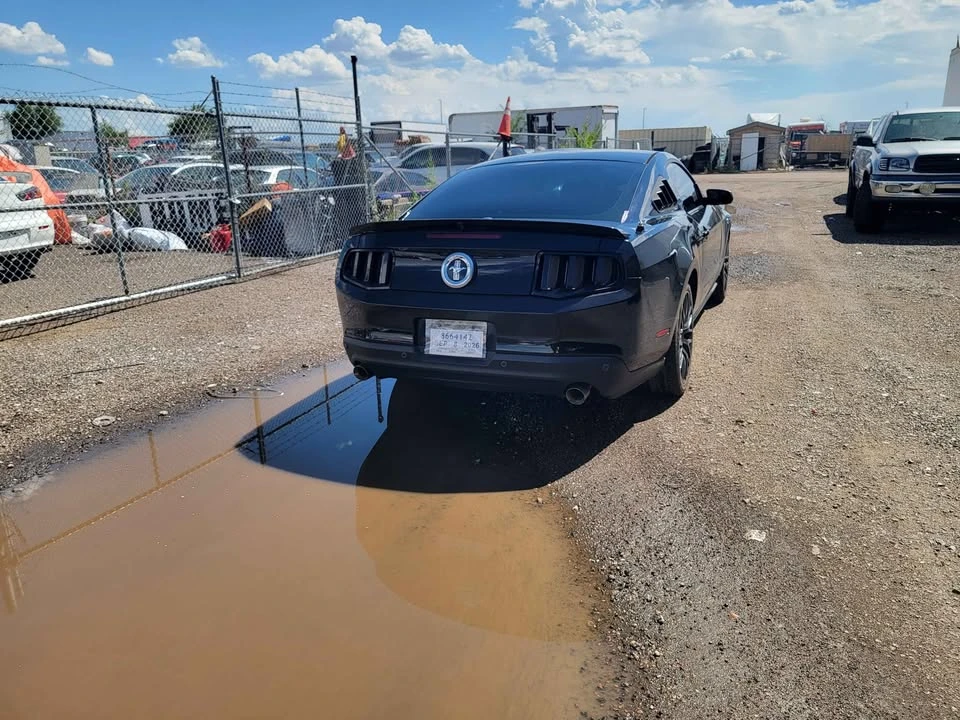 2012 Ford S197 Mustang - Image 8 of 12