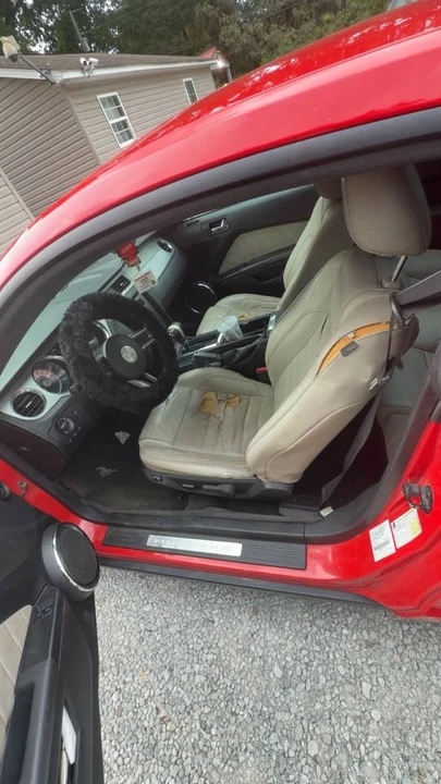 2012 Ford S197 Mustang - Image 3 of 4