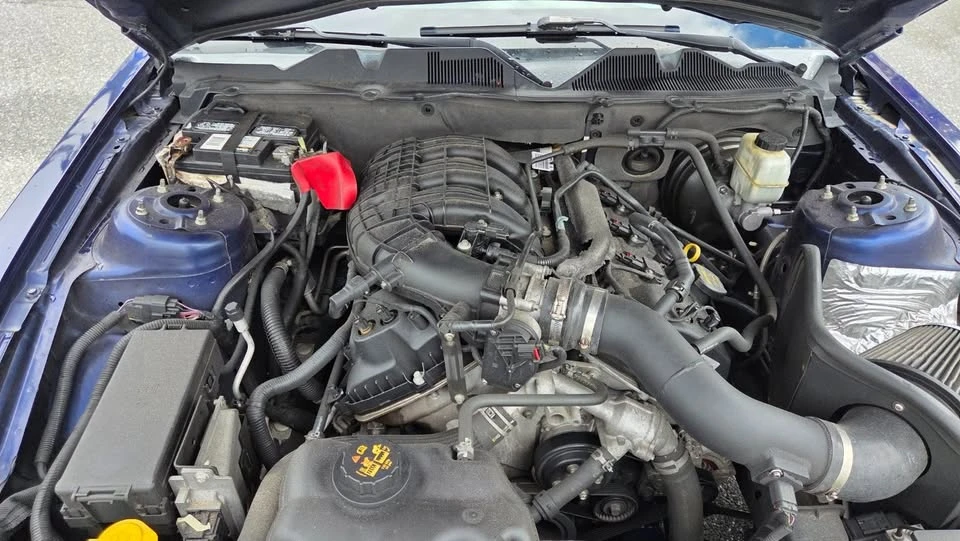 2012 Ford S197 Mustang - Image 15 of 15