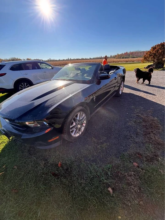 2012 Ford S197 Mustang - Image 6 of 13