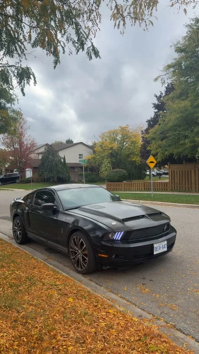 2012 Ford S197 Mustang - Image 5 of 10