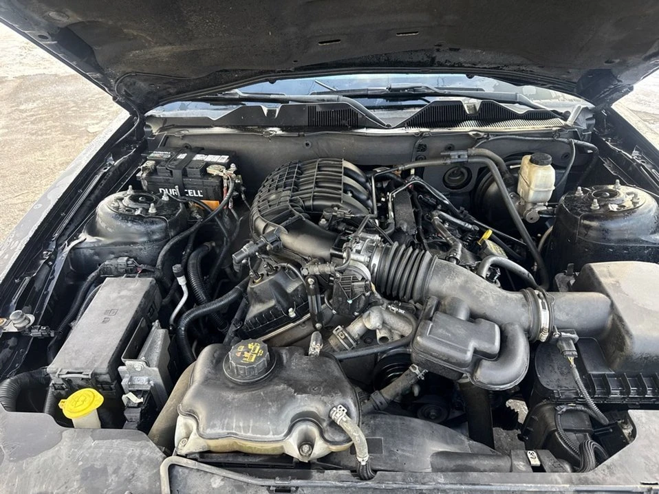 2012 Ford S197 Mustang - Image 16 of 16