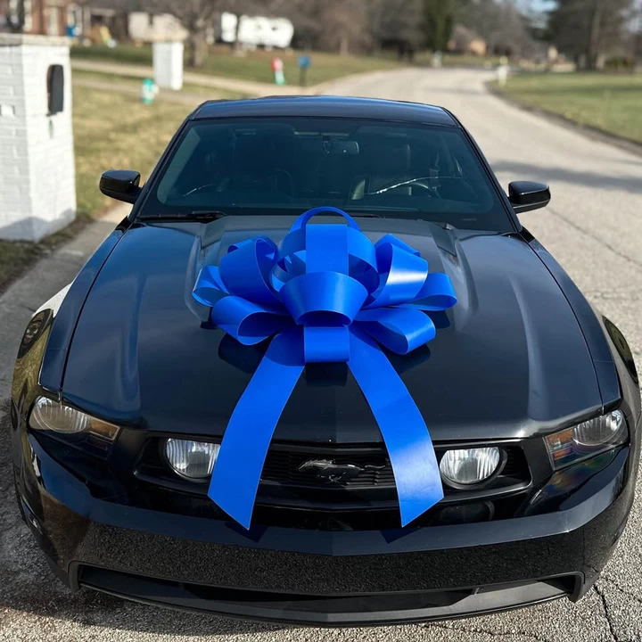 2012 Ford S197 Mustang - Image 16 of 20