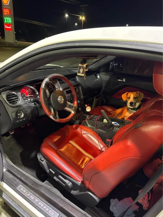 2012 Ford S197 Mustang - Image 4 of 8