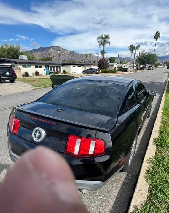2012 Ford S197 Mustang - Image 2 of 6