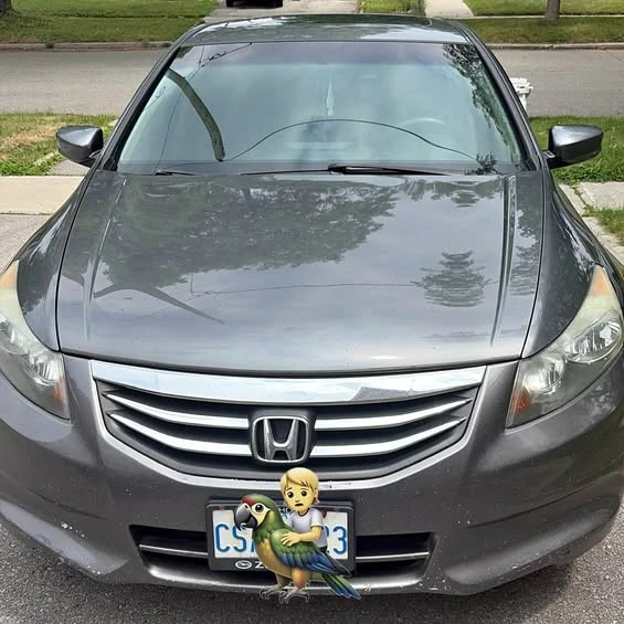 2012 Honda Accord 8th Gen - Image 1 of 1