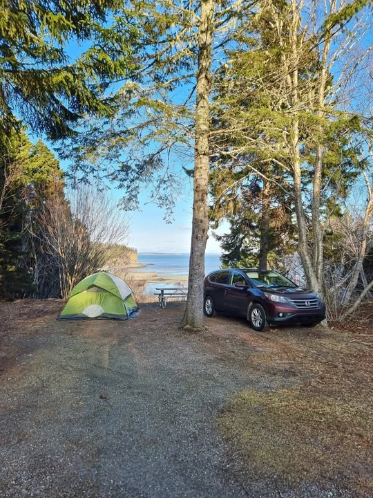 2012 Honda CR-V 4th Gen - Image 4 of 10