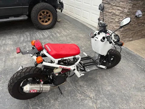 2012 Honda Ruckus