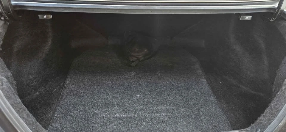 2012 Honda Civic Si 9th Gen - Image 7 of 14