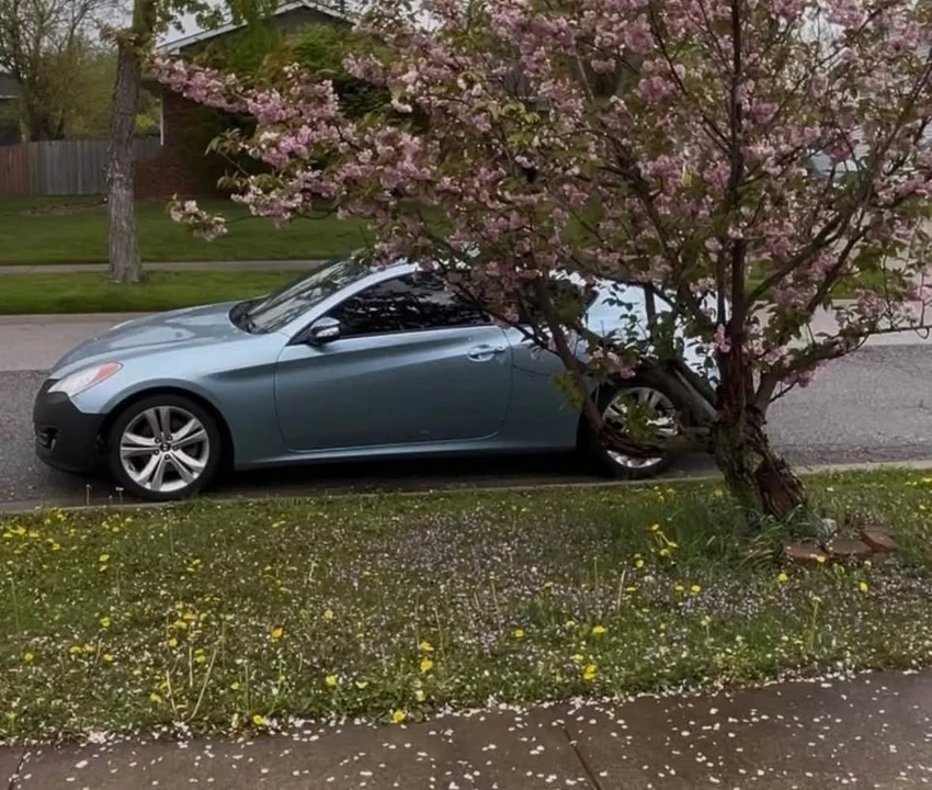 2012 Hyundai Genesis Coupe - Image 3 of 5