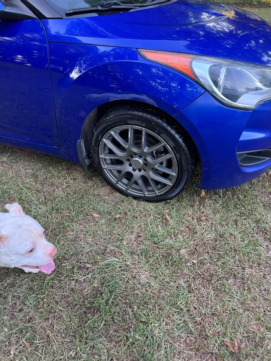 2012 Hyundai Veloster - Image 4 of 6