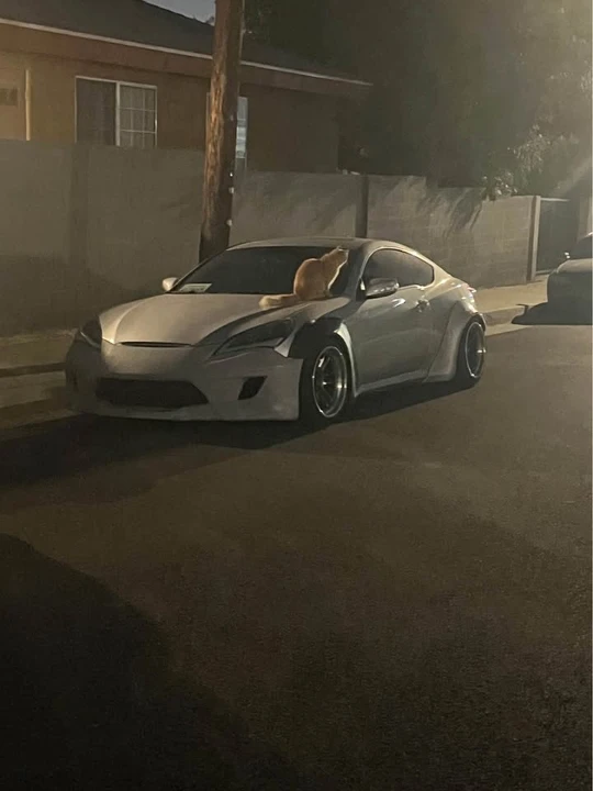 2012 Hyundai Genesis Coupe - Image 2 of 4