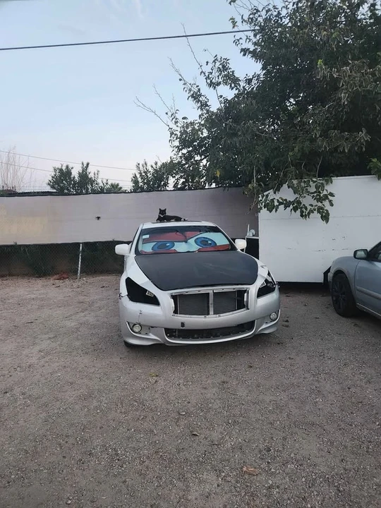 2012 Infiniti M/Q70 4th Gen - Image 10 of 17