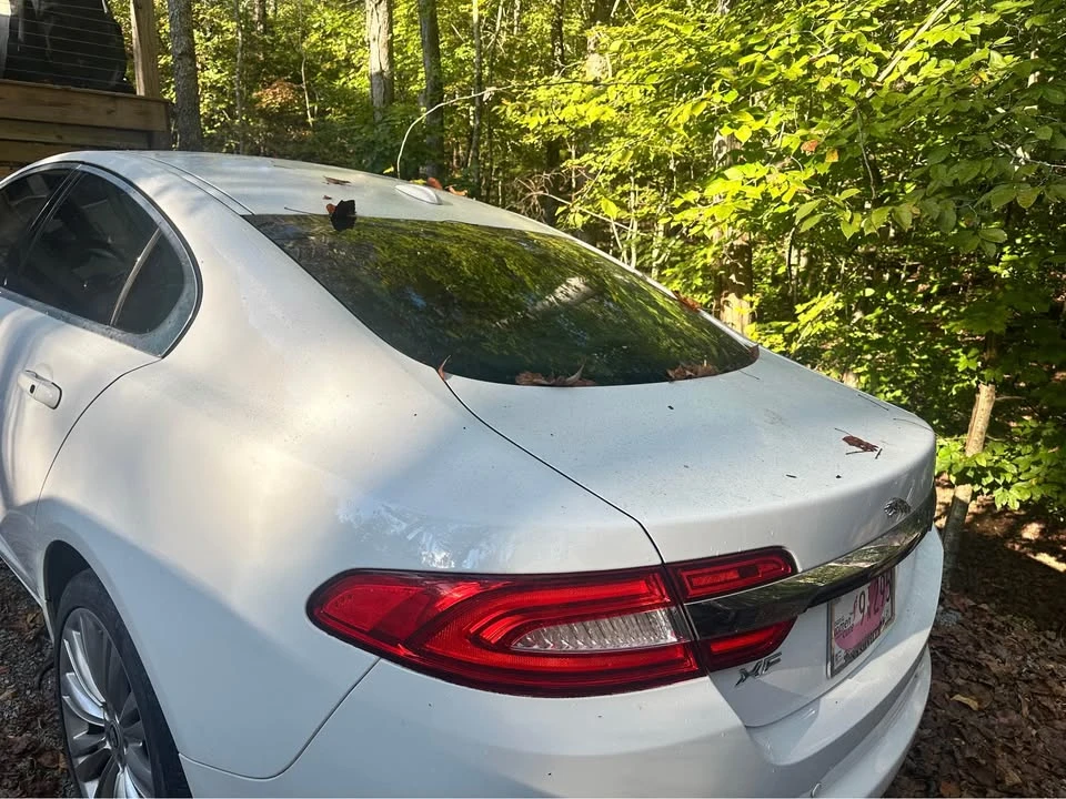 2012 Jaguar X250 XF - Image 3 of 11