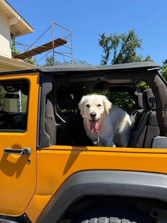 2012 Jeep JK Wrangler - Image 17 of 18